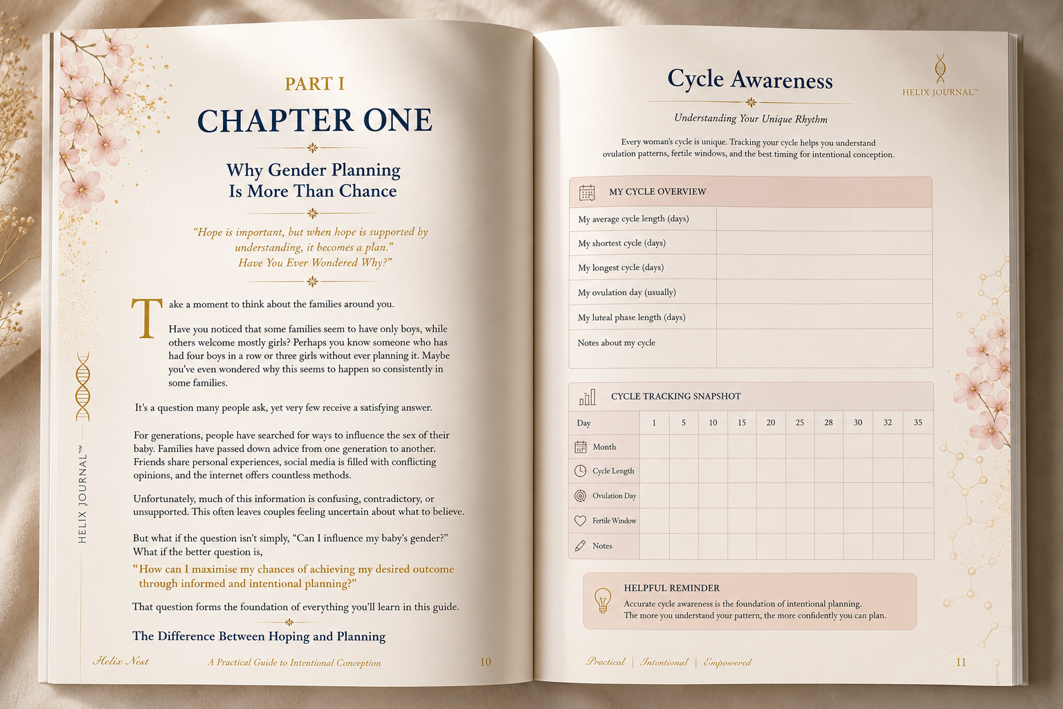 Interior pages of The Gender Planning Framework™ showing planning worksheets and editorial layouts